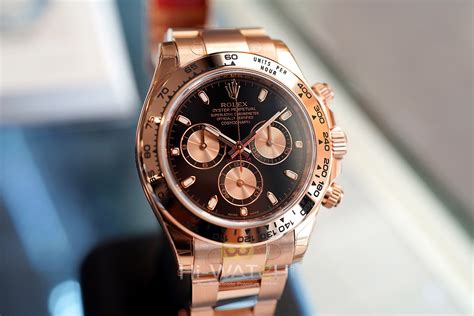 rolex daytona everose|rolex daytona black and gold.